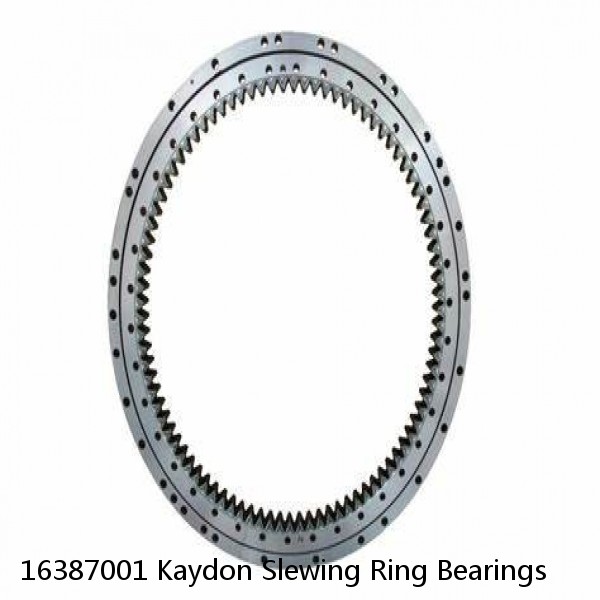 16387001 Kaydon Slewing Ring Bearings