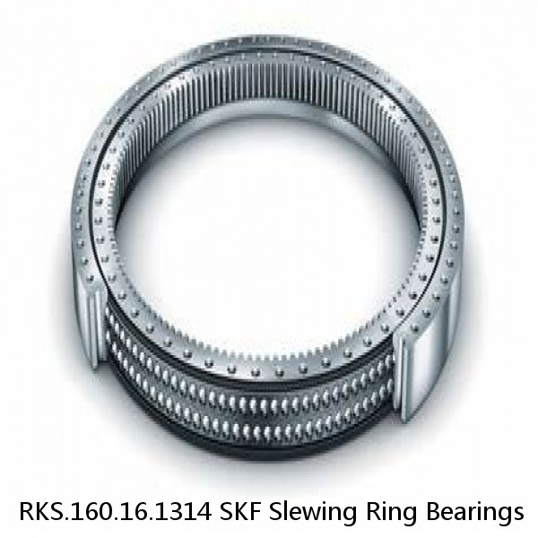 RKS.160.16.1314 SKF Slewing Ring Bearings