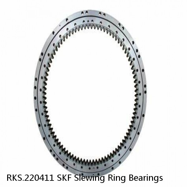 RKS.220411 SKF Slewing Ring Bearings