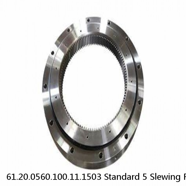 61.20.0560.100.11.1503 Standard 5 Slewing Ring Bearings