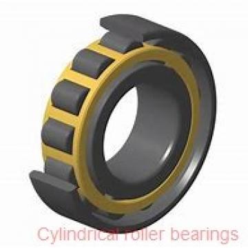 American Roller CE1321EM-ORA Cylindrical Roller Bearings