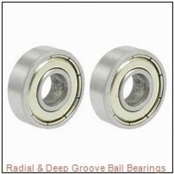 PEER 1641-2RS Radial & Deep Groove Ball Bearings