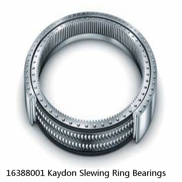 16388001 Kaydon Slewing Ring Bearings