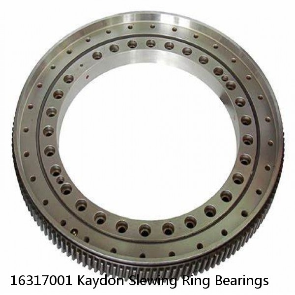 16317001 Kaydon Slewing Ring Bearings